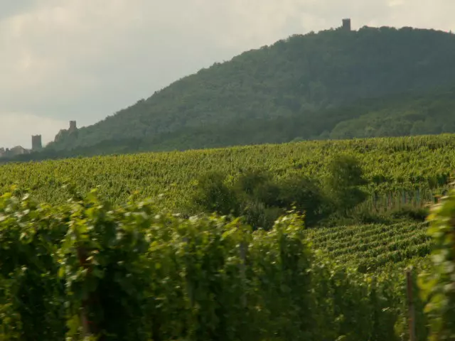 Elsass (c) Voyagemedia - RRinnau